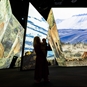BBC Earth  Experience Tickets and Lunch for Two - Safari